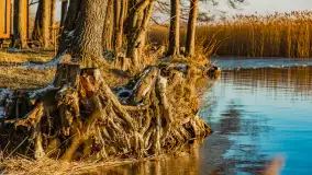 Zachód słońca nad jeziorem Mamry, luty 2023 r. - zdjęcie 7