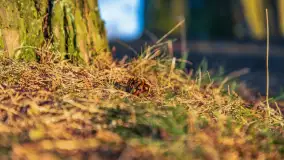 Zachód słońca nad jeziorem Gołdopiwo, marzec 2023 r. - zdjęcie 35