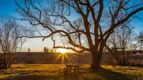 Zachód słońca nad jeziorem Gołdopiwo, marzec 2023 r. - zdjęcie 5