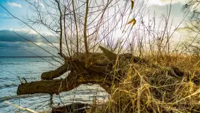 Zachód słońca nad Niegocinem widoczny z dzikiej plaży - zdjęcie 13