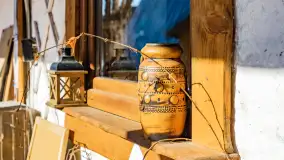 Tło dla Mew u progu nowego sezonu 2023 - zdjęcie 6