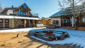 Tło dla Mew u progu nowego sezonu 2023 - zdjęcie 2