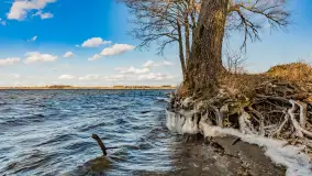 Południowy brzeg jeziora Negocin, lodowe formy, marzec 2023 - zdjęcie 9