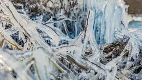 Południowy brzeg jeziora Negocin, lodowe formy, marzec 2023 - zdjęcie 17