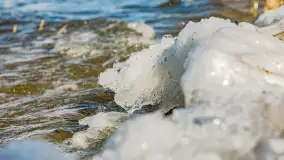 Południowy brzeg jeziora Negocin, lodowe formy, marzec 2023 - zdjęcie 10