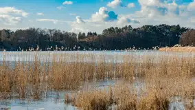 Grodzisko Św. Góra, jezioro Wojnowo, marzec 2023 r. - zdjęcie 38