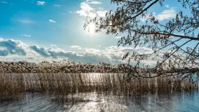 Grodzisko Św. Góra, jezioro Wojnowo, marzec 2023 r. - zdjęcie 36