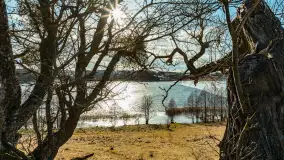 Grodzisko Św. Góra, jezioro Wojnowo, marzec 2023 r. - zdjęcie 58