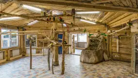 Odwiedziliśmy papugarnię w Wilkasach, luty 2023 r. - zdjęcie 16