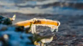 Jezioro Gołdopiwo na początku marca 2023 r. - zdjęcie 21