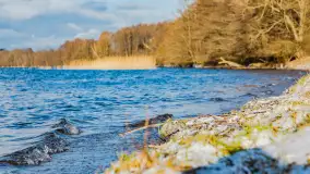 Jezioro Gołdopiwo na początku marca 2023 r. - zdjęcie 28