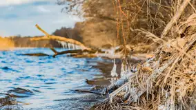 Jezioro Gołdopiwo na początku marca 2023 r. - zdjęcie 19