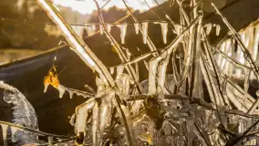 Jezioro Gołdopiwo na początku marca 2023 r. - zdjęcie 33