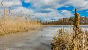 Wyspa Wydmińska i jezioro Wydmińskie, końcówka zimy 2023 r. - zdjęcie 12