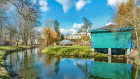 Poszukiwania wiosny w Węgorzewie, marzec 2023 r. - zdjęcie 2