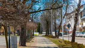 Poszukiwania wiosny w Węgorzewie, marzec 2023 r. - zdjęcie 20