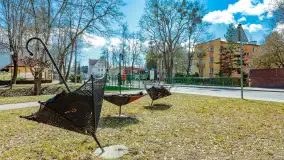 Poszukiwania wiosny w Węgorzewie, marzec 2023 r. - zdjęcie 23