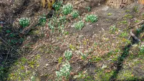 Poszukiwania wiosny w Węgorzewie, marzec 2023 r. - zdjęcie 46