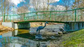 Poszukiwania wiosny w Węgorzewie, marzec 2023 r. - zdjęcie 22