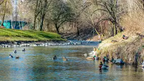 Poszukiwania wiosny w Węgorzewie, marzec 2023 r. - zdjęcie 24