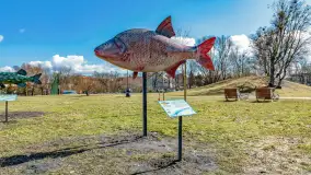 Poszukiwania wiosny w Węgorzewie, marzec 2023 r. - zdjęcie 49