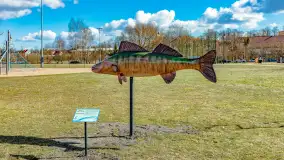 Poszukiwania wiosny w Węgorzewie, marzec 2023 r. - zdjęcie 45