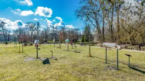 Poszukiwania wiosny w Węgorzewie, marzec 2023 r. - zdjęcie 50