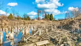 Poszukiwania wiosny w Węgorzewie, marzec 2023 r. - zdjęcie 18