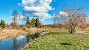 Poszukiwania wiosny w Węgorzewie, marzec 2023 r. - zdjęcie 15