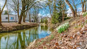 Poszukiwania wiosny w Węgorzewie, marzec 2023 r. - zdjęcie 1