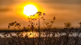 Zachód słońca nad jeziorem Mamry, plaża miejska w Węgorzewie - zdjęcie 8