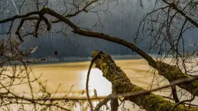 Wschód słońca nad jeziorem Tyrkło, marzec 2023 r. - zdjęcie 32