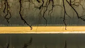 Wschód słońca nad jeziorem Tyrkło, marzec 2023 r. - zdjęcie 15