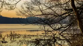 Wschód słońca nad jeziorem Tyrkło, marzec 2023 r. - zdjęcie 16