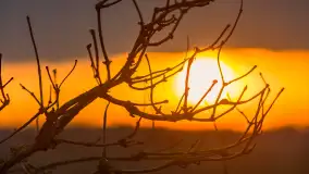 Zachód słońca, z innej perspektywy, marzec 2023 r. - zdjęcie 27