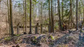 Wiosenny spacer po Mamerkach, marzec 2023 r. - zdjęcie 3