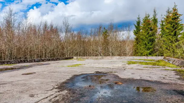 Wiosenny spacer po Mamerkach, marzec 2023 r. - zdjęcie 11