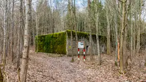 Wiosenny spacer po Mamerkach, marzec 2023 r. - zdjęcie 31