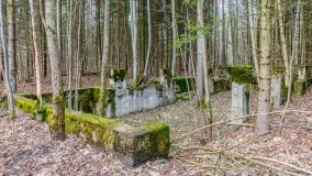 Wiosenny spacer po Mamerkach, marzec 2023 r. - zdjęcie 12