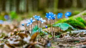 Wiosenny spacer po Mamerkach, marzec 2023 r. - zdjęcie 24