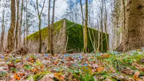 Wiosenny spacer po Mamerkach, marzec 2023 r. - zdjęcie 5