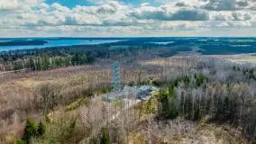 Wiosenny spacer po Mamerkach, marzec 2023 r. - zdjęcie 8