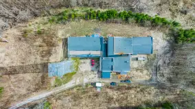 Wiosenny spacer po Mamerkach, marzec 2023 r. - zdjęcie 14