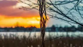 Zachód słońca nad jeziorem Martiany, marzec 2023 r. - zdjęcie 11