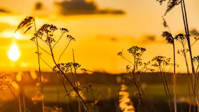 Zachód słońca nad rzeką Guber, kwiecień 2023 r. - zdjęcie 14