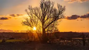 Zachód słońca nad rzeką Guber, kwiecień 2023 r. - zdjęcie 29