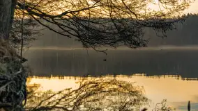 Wschód słońca nad jeziorem Dejguny, kwiecień 2023 r. - zdjęcie 21