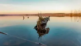 Wschód słońca nad jeziorem Dejguny, kwiecień 2023 r. - zdjęcie 36