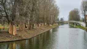 Remont Kanału Łuczańskiego - zdjęcie 8