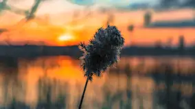 Zachód słońca nad jeziorem Dejguny, Lisi Ogon, kwiecień 2023 r. - zdjęcie 45